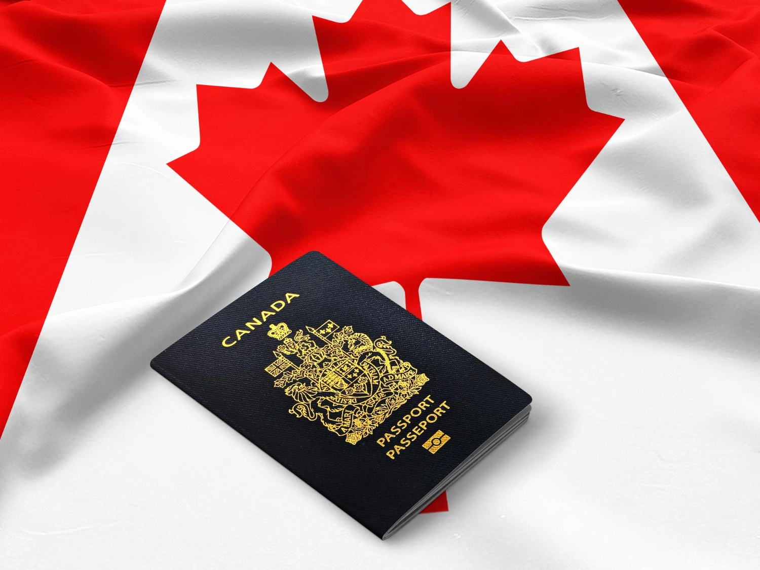 Canadian Citizenship Wait Time Jumps to 15 Months as Application Queue Surpasses 82,000