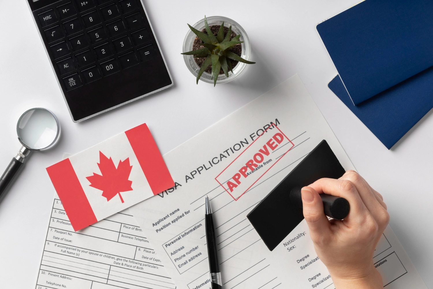 Understanding Canada's Immigration System: A Beginner's Guide