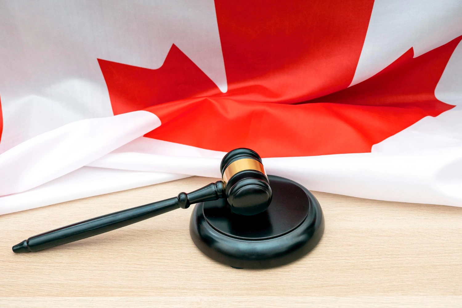 Updated Citizenship Law Expands Opportunities for Many Families